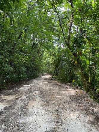 Twelfth image of Lot 341 San San in SAN SAN, Portland, Jamaica - property is For Sale