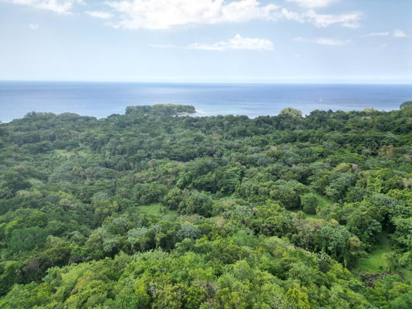 Thirteenth image of Lot 341 San San in SAN SAN, Portland, Jamaica - property is For Sale