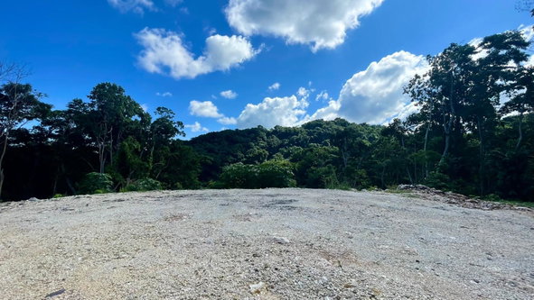 Third image of Lot 341 San San in SAN SAN, Portland, Jamaica - property is For Sale