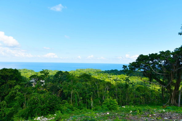 Fourth image of Lot 341 San San in SAN SAN, Portland, Jamaica - property is For Sale