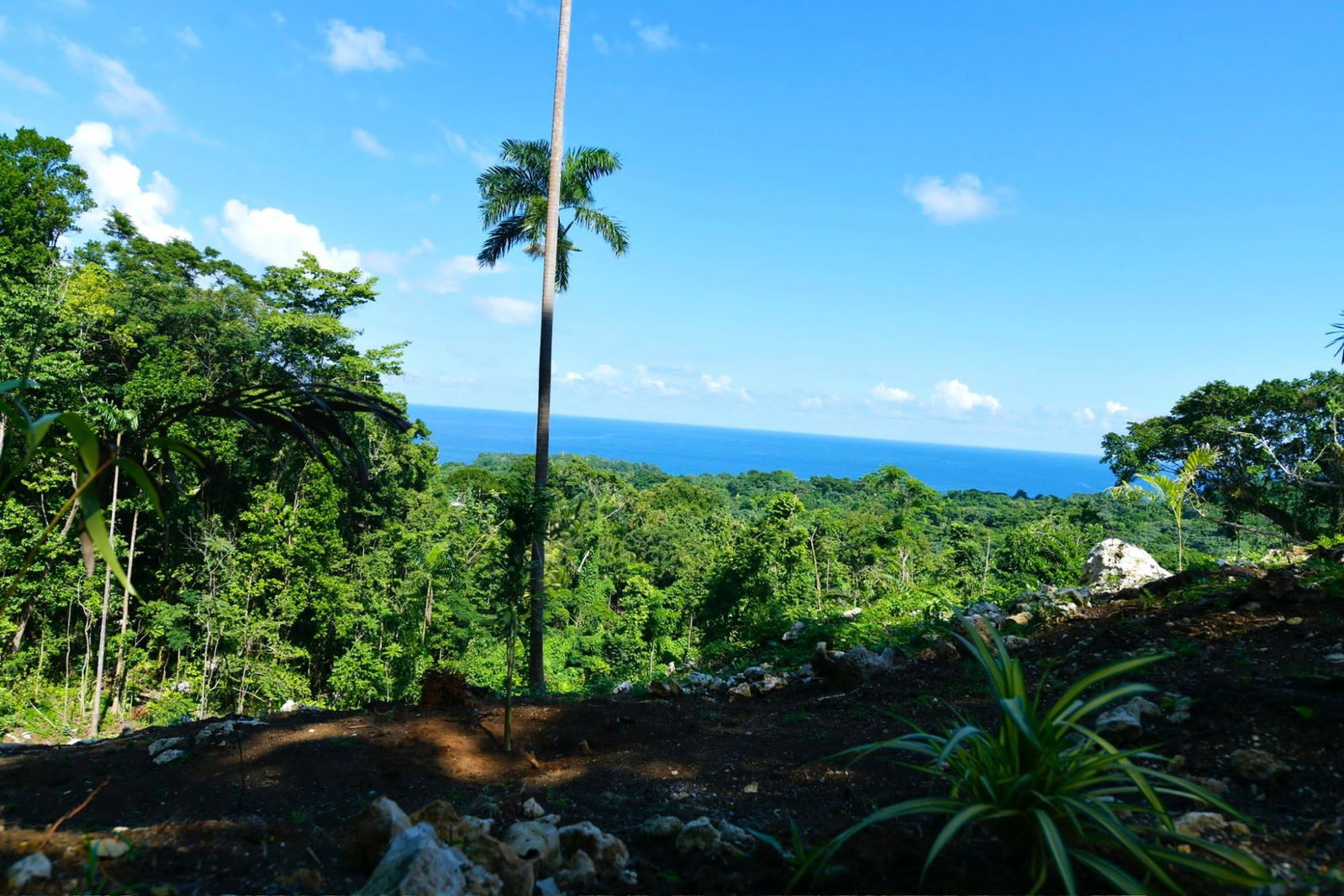 Fifth image of Lot 341 San San in SAN SAN, Portland, Jamaica - property is For Sale