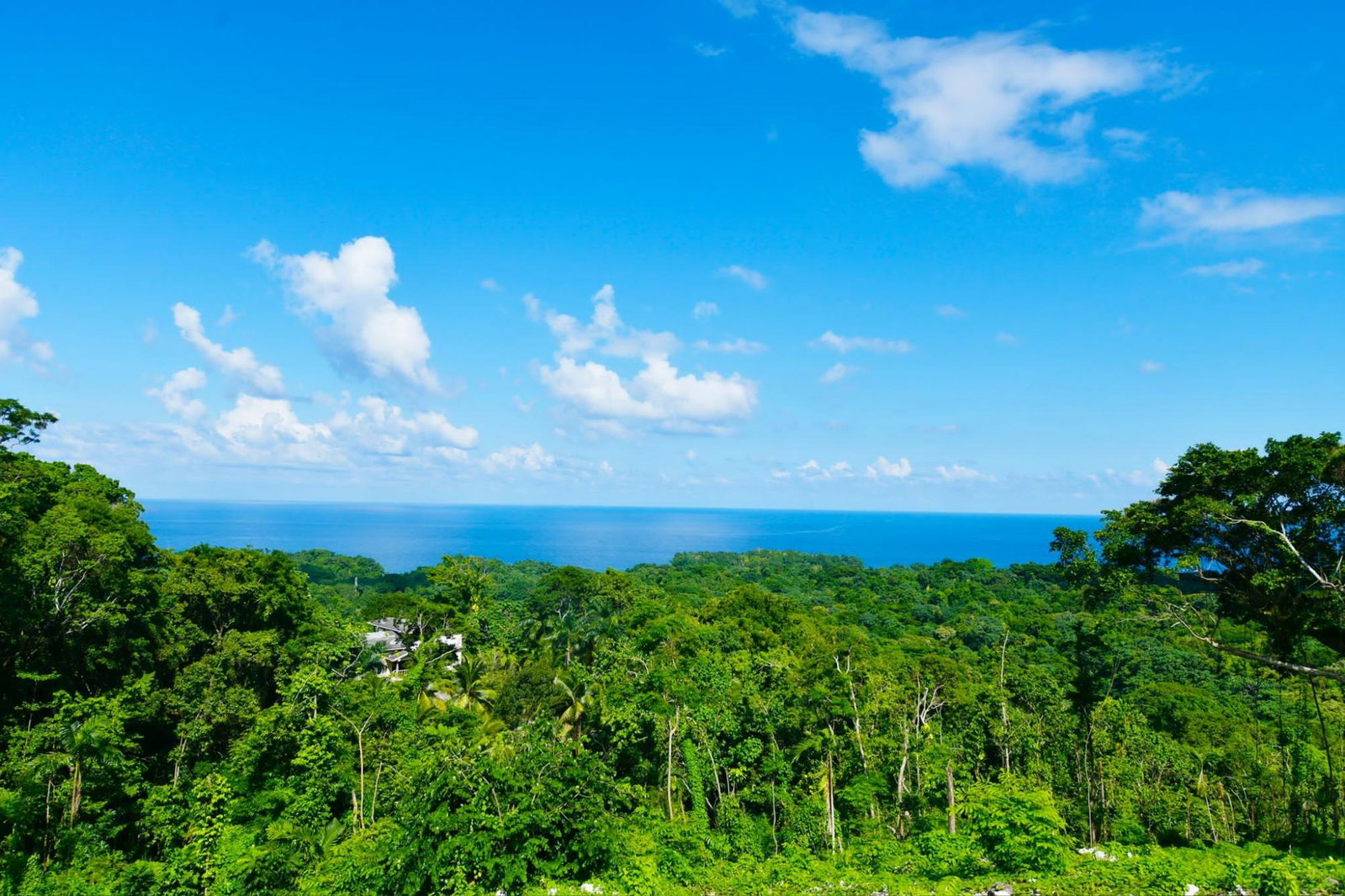 Sixth image of Lot 341 San San in SAN SAN, Portland, Jamaica - property is For Sale