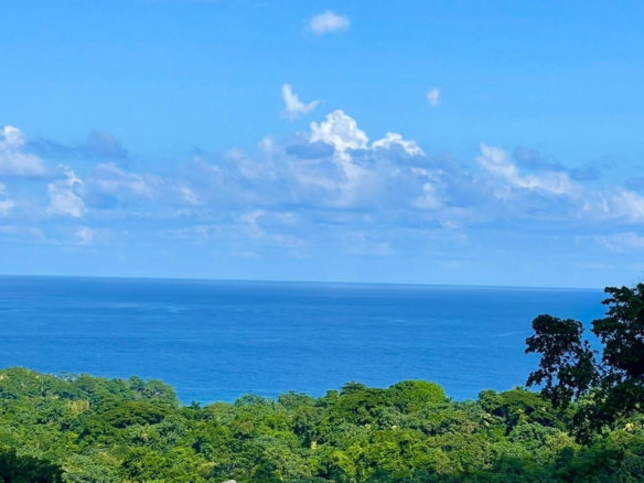 First image of Lot 341 San San in SAN SAN, Portland, Jamaica - property is For Sale