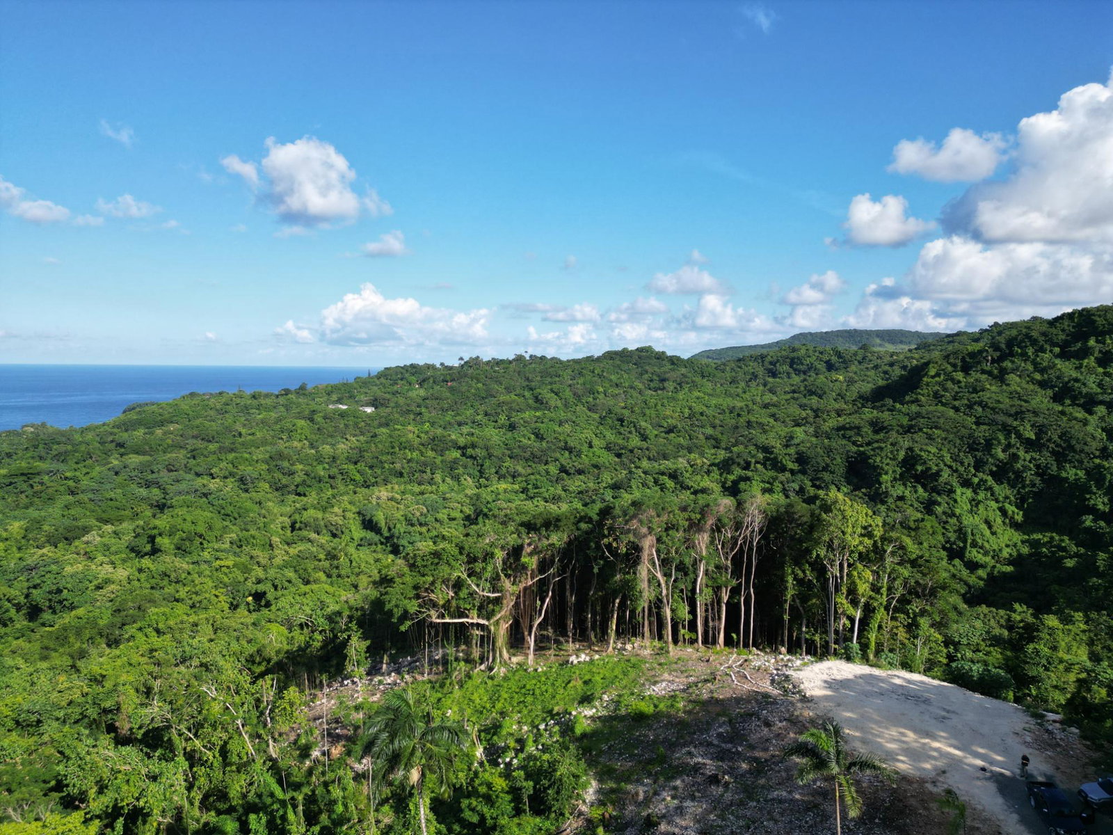 Seventh image of Lot 341 San San in SAN SAN, Portland, Jamaica - property is For Sale