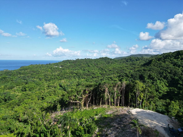 Seventh image of Lot 341 San San in SAN SAN, Portland, Jamaica - property is For Sale