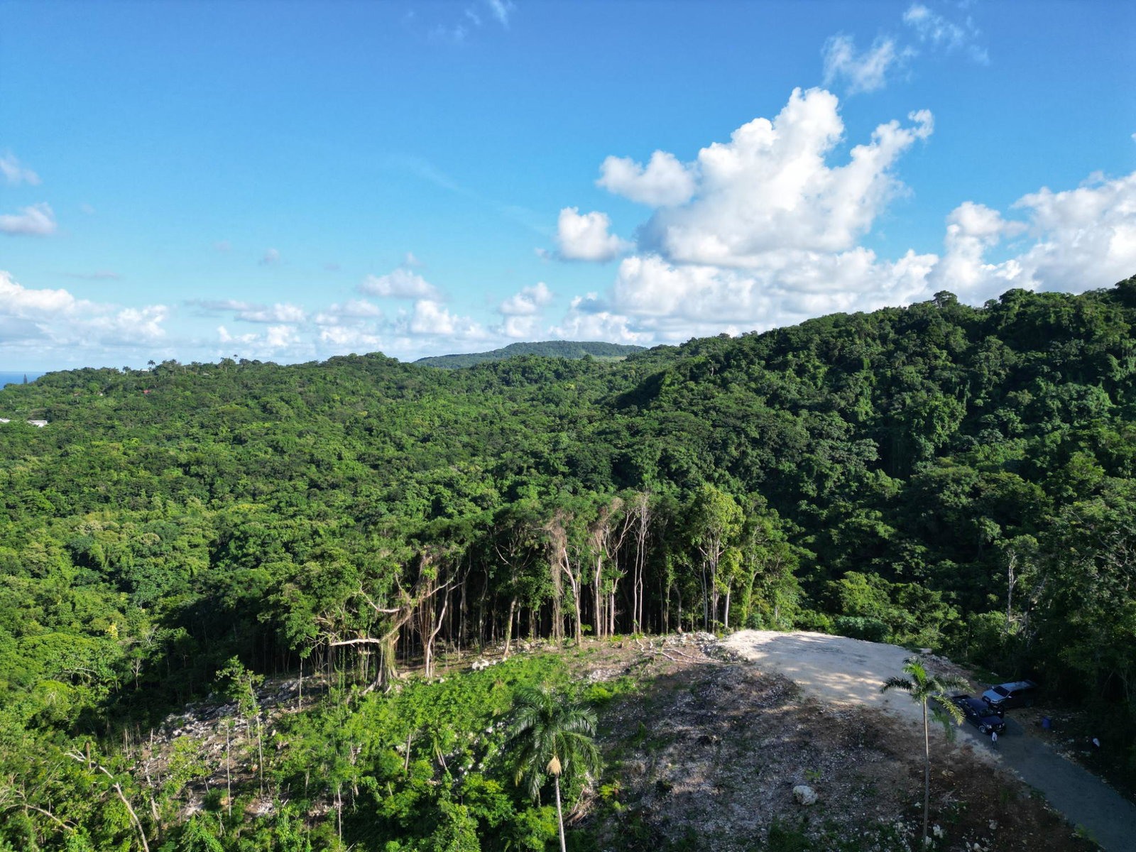 Eighth image of Lot 341 San San in SAN SAN, Portland, Jamaica - property is For Sale