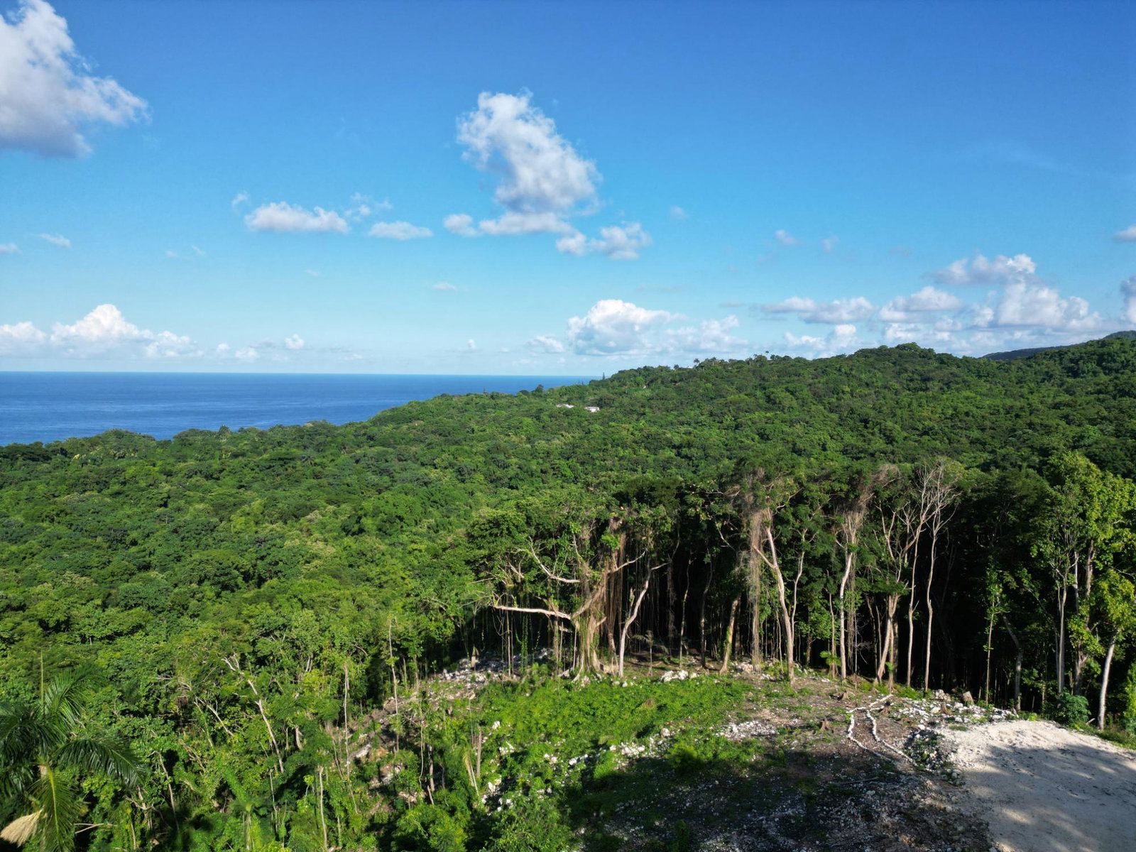 Tenth image of Lot 341 San San in SAN SAN, Portland, Jamaica - property is For Sale