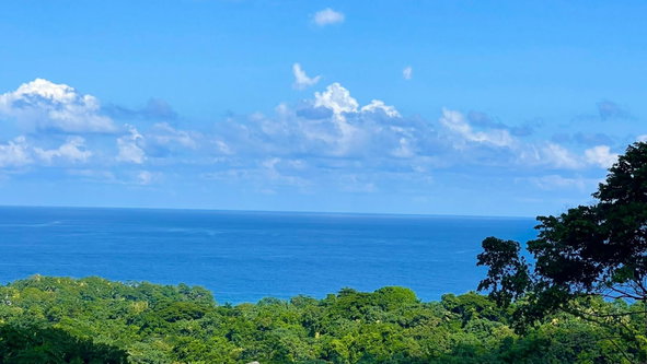 First image of Lot 341 San San in SAN SAN, Portland, Jamaica - property is For Sale