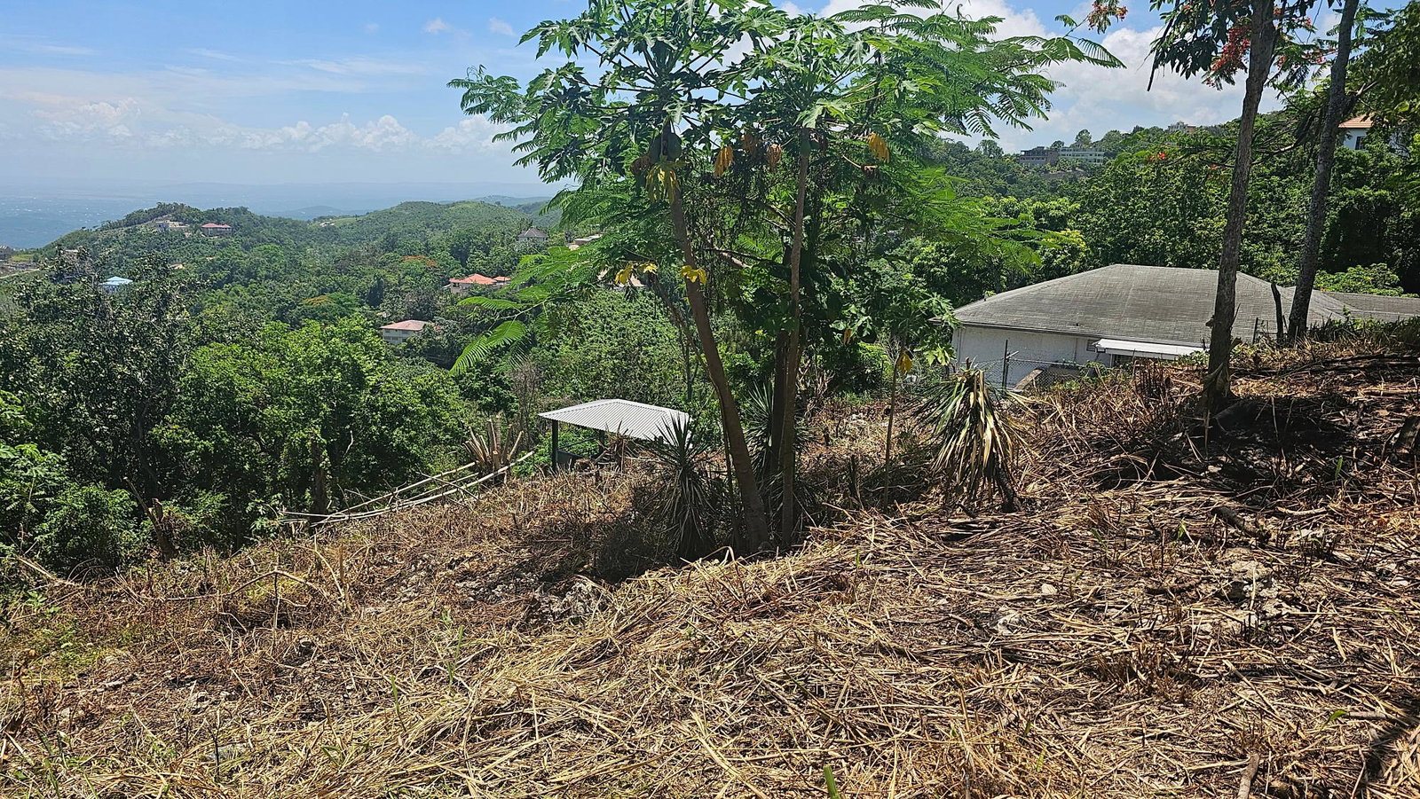 Stunning-Residential-Lot-for-Sale-in-Coopers-Hill-Jamaica Second image of 18 Woodland Circle, Red Hill in Coopers Hill, St. Andrew, Jamaica - property is For Sale