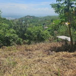 First image of 18 Woodland Circle, Red Hill in Coopers Hill, St. Andrew, Jamaica - property is For Sale
