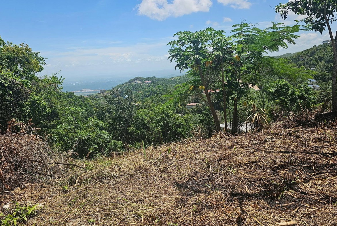 Third image of 18 Woodland Circle, Red Hill in Coopers Hill, St. Andrew, Jamaica - property is For Sale
