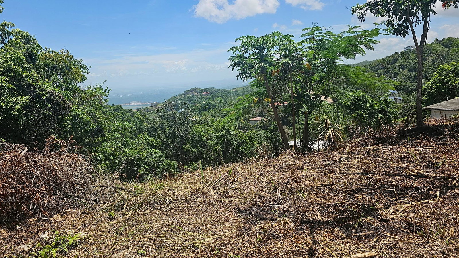 Stunning-Residential-Lot-for-Sale-in-Coopers-Hill-Jamaica Third image of 18 Woodland Circle, Red Hill in Coopers Hill, St. Andrew, Jamaica - property is For Sale