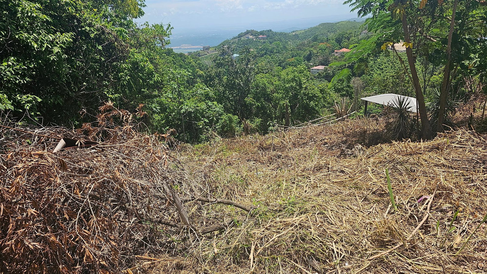 Stunning-Residential-Lot-for-Sale-in-Coopers-Hill-Jamaica Fourth image of 18 Woodland Circle, Red Hill in Coopers Hill, St. Andrew, Jamaica - property is For Sale