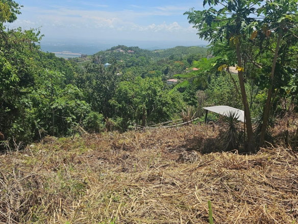 First image of 18 Woodland Circle, Red Hill in Coopers Hill, St. Andrew, Jamaica - property is For Sale