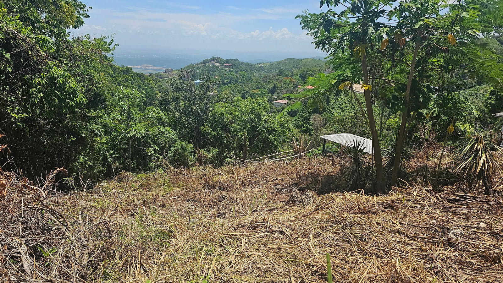 Stunning-Residential-Lot-for-Sale-in-Coopers-Hill-Jamaica First image of 18 Woodland Circle, Red Hill in Coopers Hill, St. Andrew, Jamaica - property is For Sale