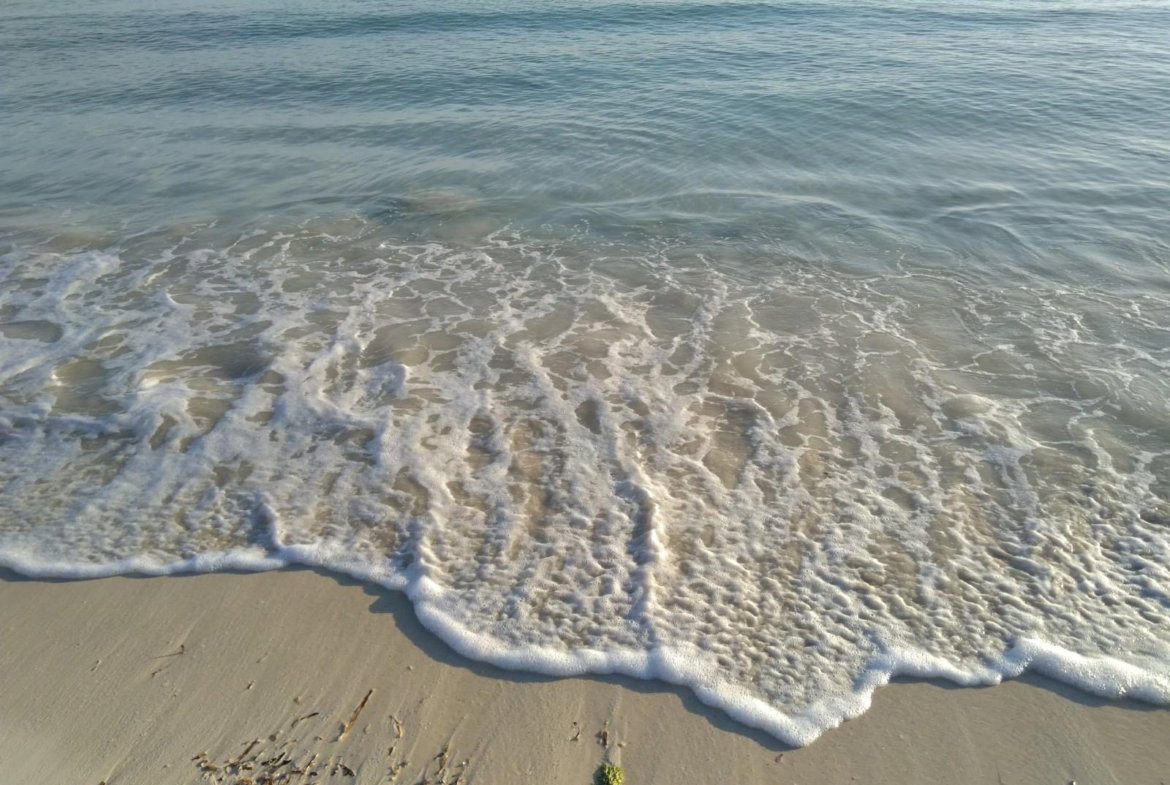 Twentieth image of Lot 454 Marlins Way in DUNCAN BAY, Trelawny, Jamaica - property is For Sale