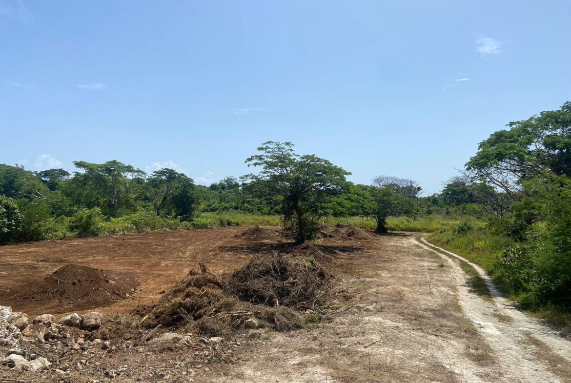 Third image of Lot 454 Marlins Way in DUNCAN BAY, Trelawny, Jamaica - property is For Sale
