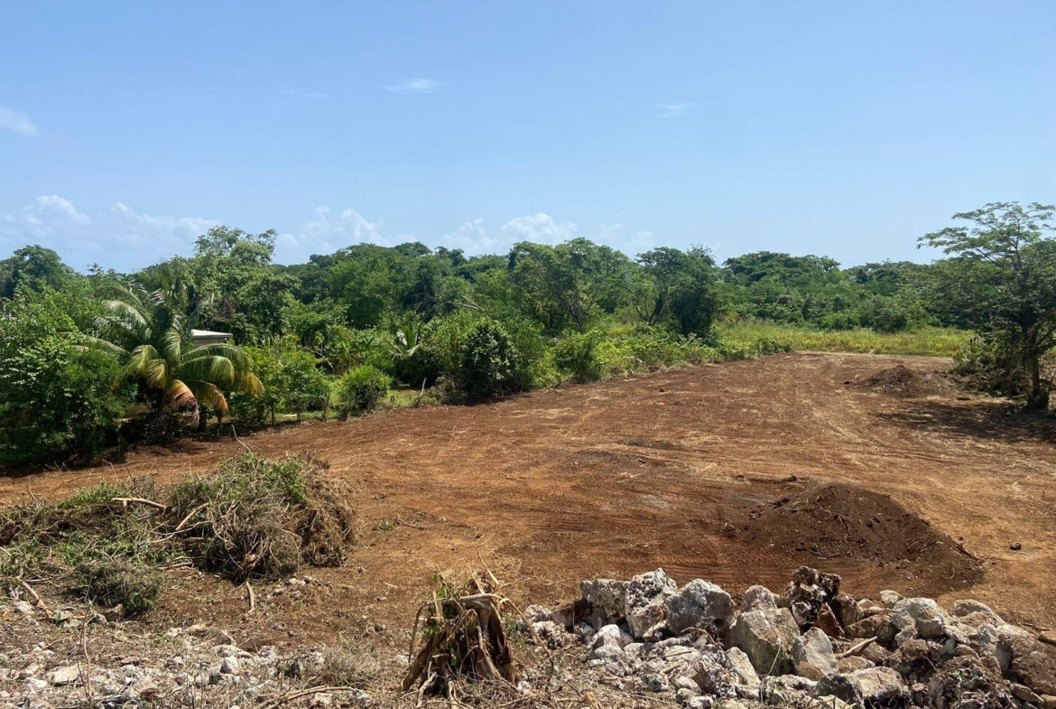 Fourth image of Lot 454 Marlins Way in DUNCAN BAY, Trelawny, Jamaica - property is For Sale