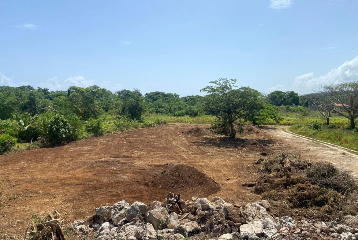 Fifth image of Lot 454 Marlins Way in DUNCAN BAY, Trelawny, Jamaica - property is For Sale