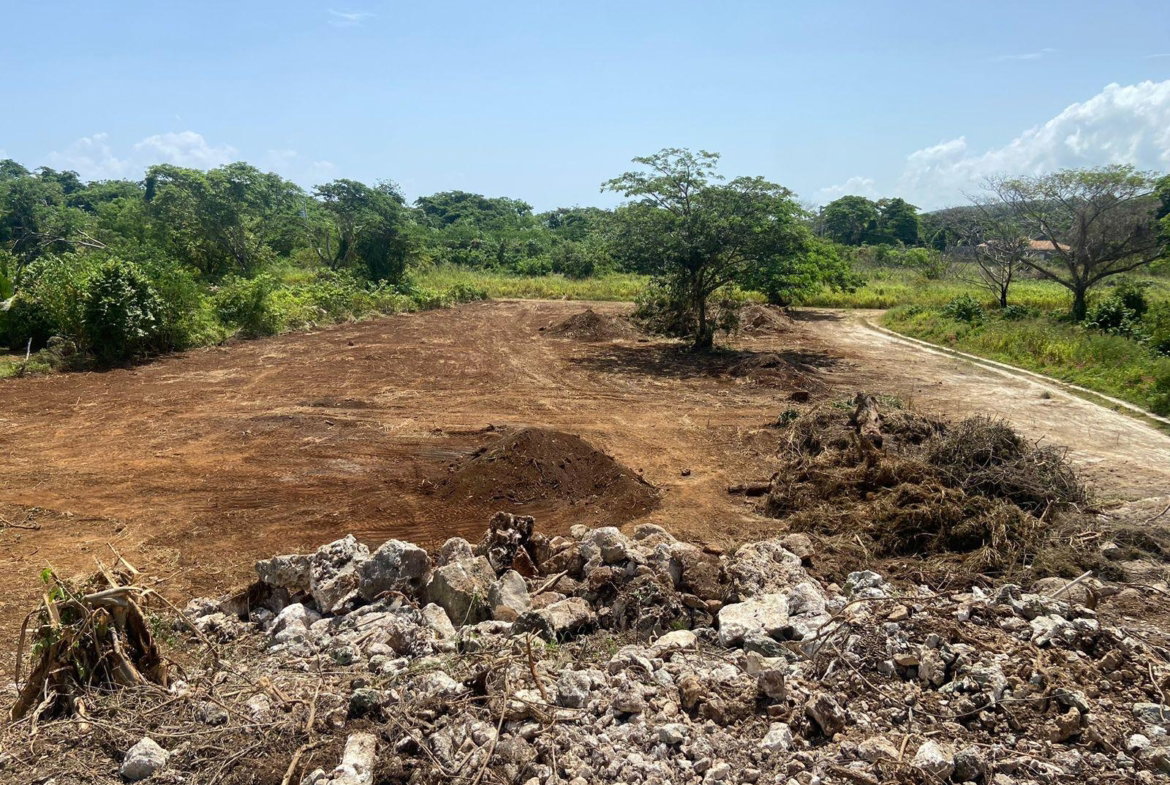 Seventh image of Lot 454 Marlins Way in DUNCAN BAY, Trelawny, Jamaica - property is For Sale