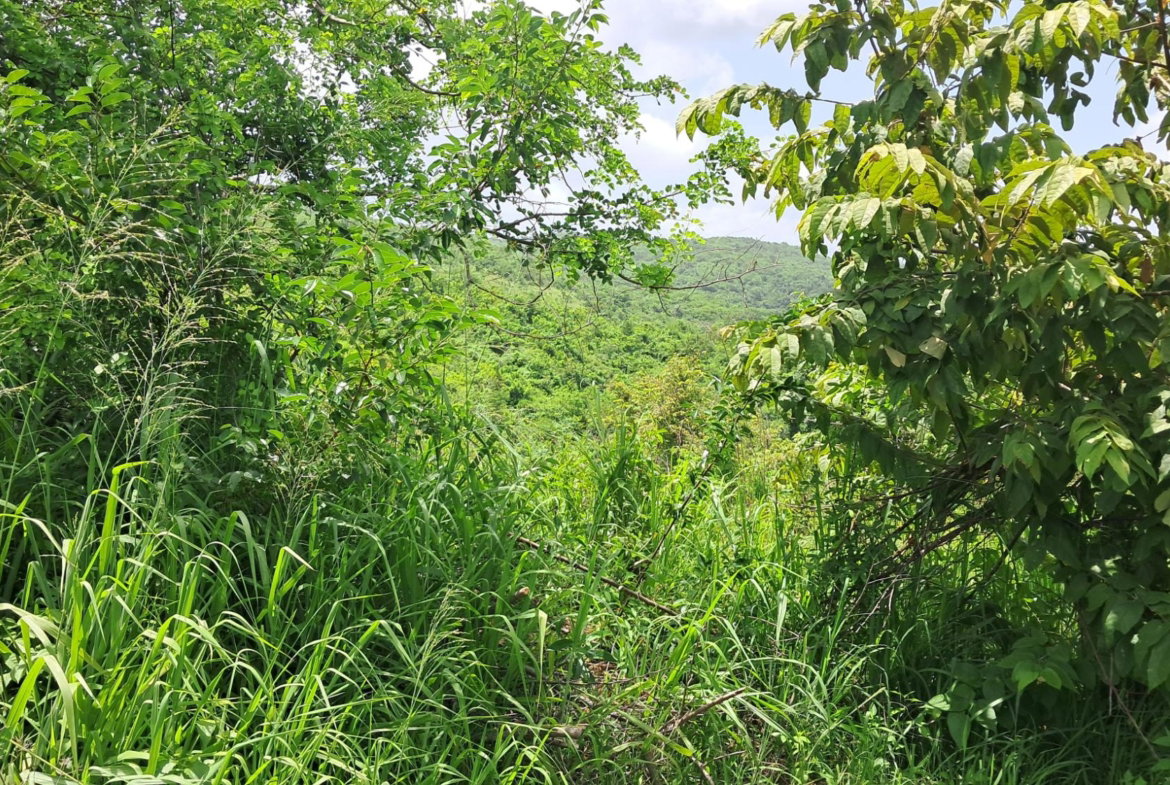 Second image of 83 Rozelle in WHITE HORSES, St. Thomas, Jamaica - property is For Sale
