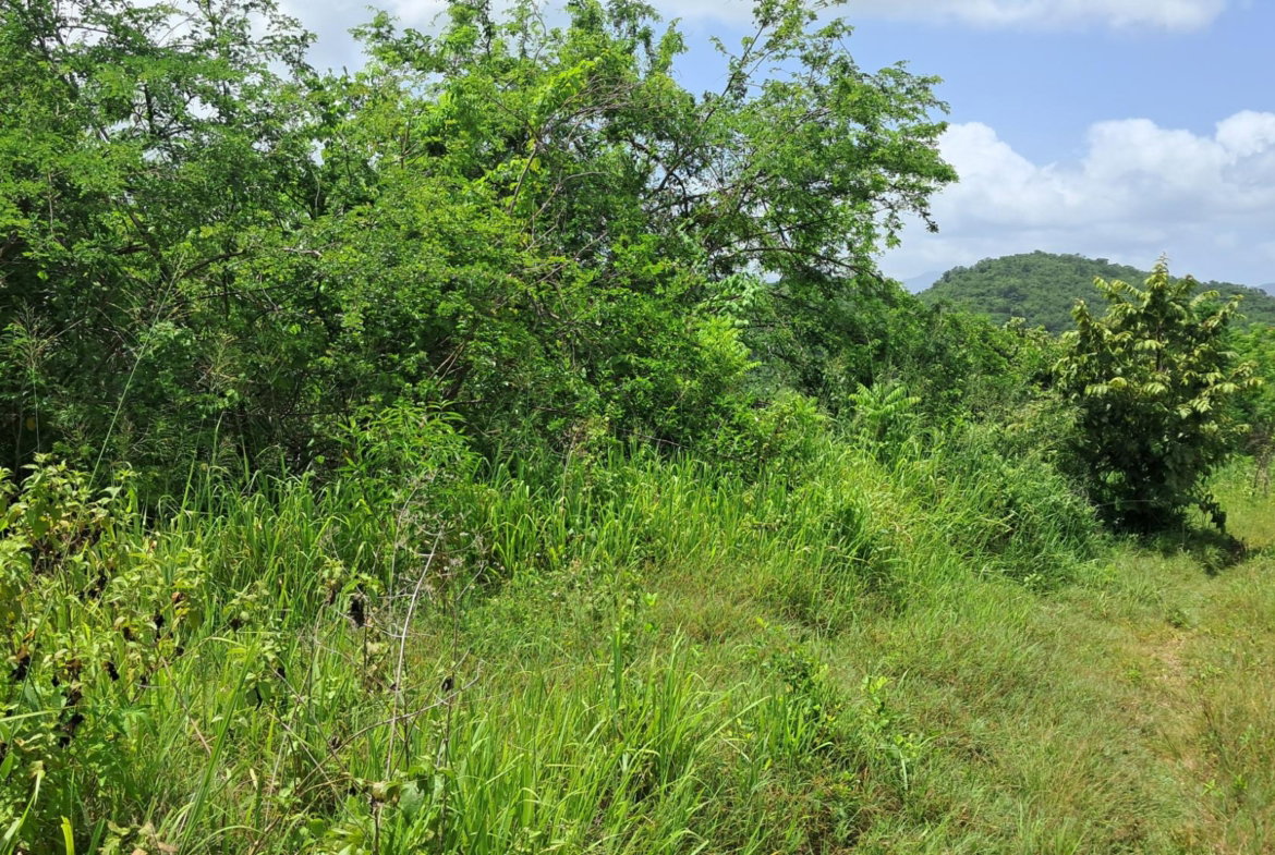 Third image of 83 Rozelle in WHITE HORSES, St. Thomas, Jamaica - property is For Sale