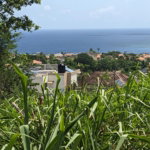 First image of 133 Spring Valley, St. Mary in Tower Isle, St. Mary, Jamaica - property is For Sale