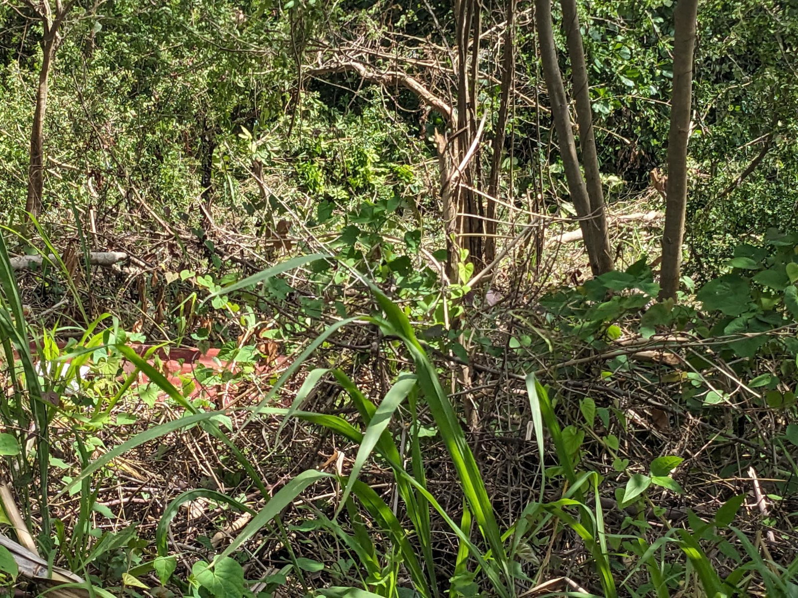 Fifth image of 133 Spring Valley, St. Mary in Tower Isle, St. Mary, Jamaica - property is For Sale