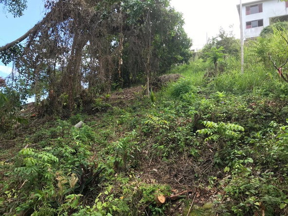 Thirteenth image of Lot 68 Rhynie Drive Unity Hall in Montego Bay, St. James, Jamaica - property is For Sale