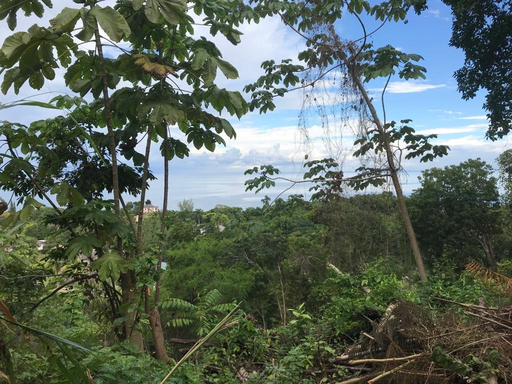 Fourteenth image of Lot 68 Rhynie Drive Unity Hall in Montego Bay, St. James, Jamaica - property is For Sale