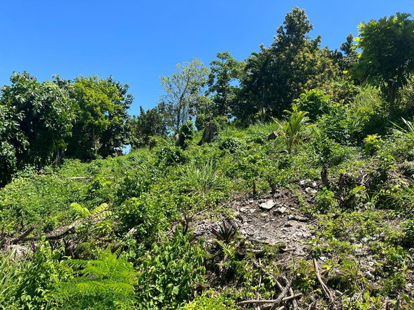 Third image of Lot 68 Rhynie Drive Unity Hall in Montego Bay, St. James, Jamaica - property is For Sale