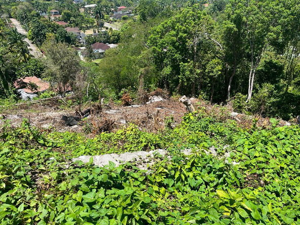 Fourth image of Lot 68 Rhynie Drive Unity Hall in Montego Bay, St. James, Jamaica - property is For Sale