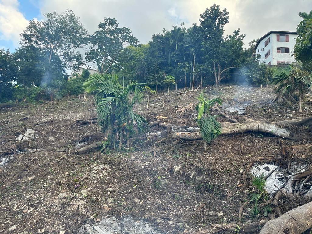 Seventh image of Lot 68 Rhynie Drive Unity Hall in Montego Bay, St. James, Jamaica - property is For Sale