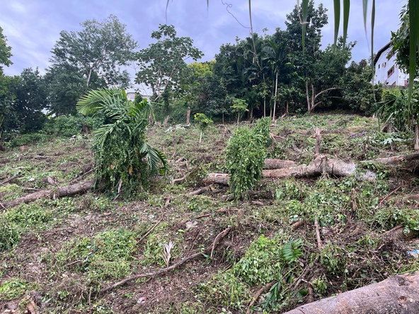 Eighth image of Lot 68 Rhynie Drive Unity Hall in Montego Bay, St. James, Jamaica - property is For Sale