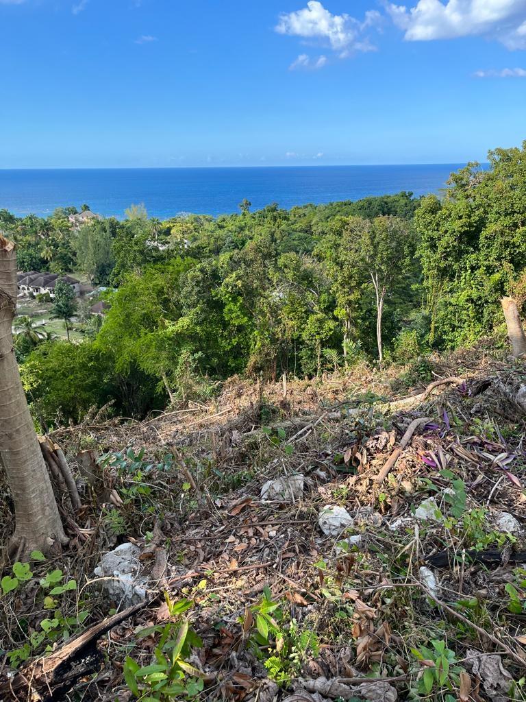 Ninth image of Lot 68 Rhynie Drive Unity Hall in Montego Bay, St. James, Jamaica - property is For Sale