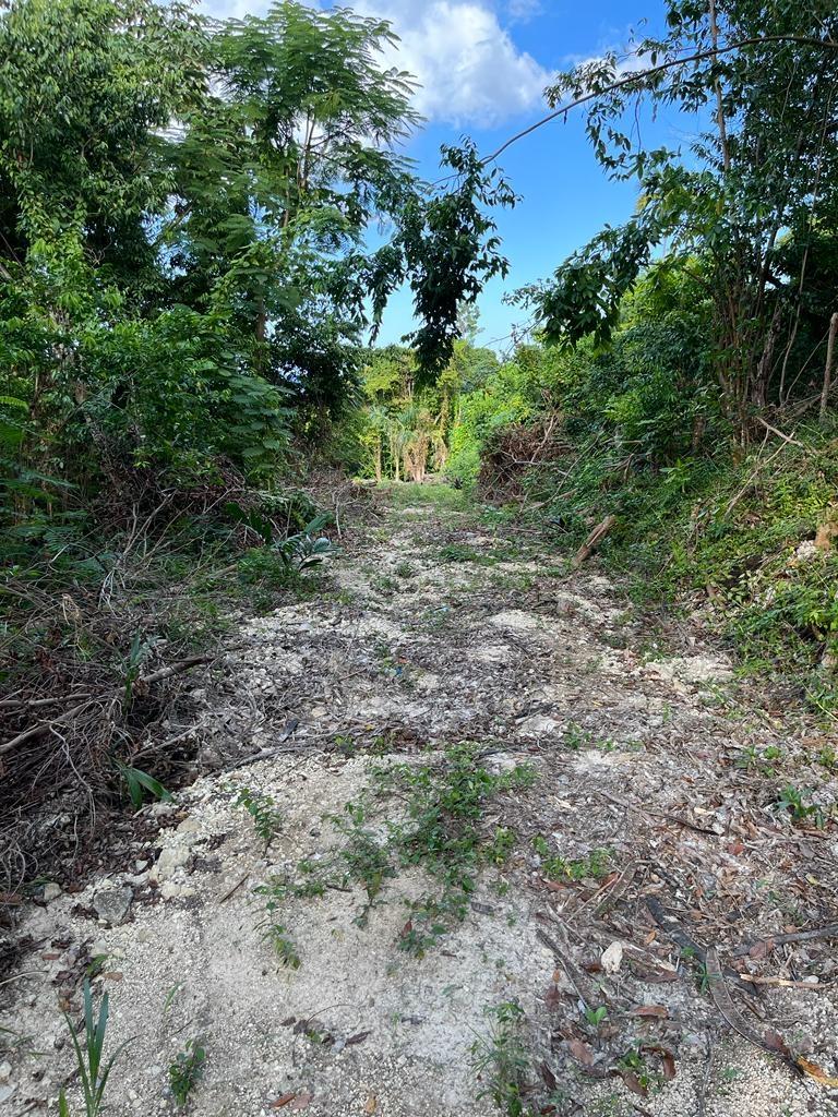 Tenth image of Lot 68 Rhynie Drive Unity Hall in Montego Bay, St. James, Jamaica - property is For Sale