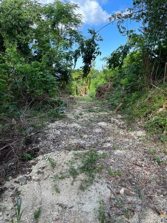 Tenth image of Lot 68 Rhynie Drive Unity Hall in Montego Bay, St. James, Jamaica - property is For Sale