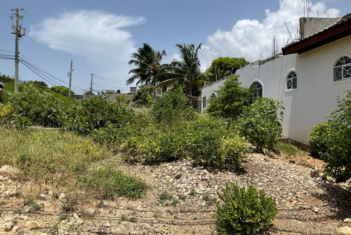 Third image of Lot 854 Morning Glory Drive Longv in Longville Park, Clarendon, Jamaica - property is For Sale
