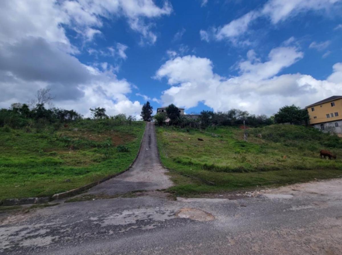 Sixth image of 6 Williams Drive in Knockpatirck, Manchester, Jamaica - property is For Sale