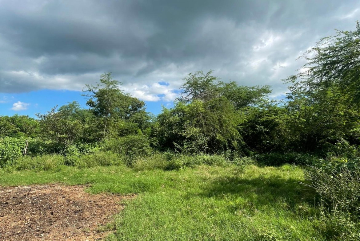 Second image of 38 Rhymesbury in Rhymesbury, Clarendon, Jamaica - property is For Sale