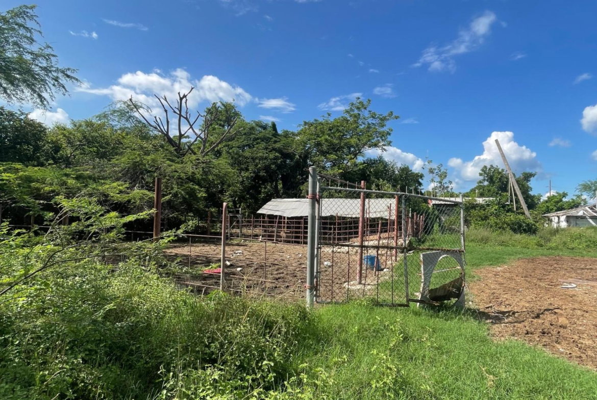 Third image of 38 Rhymesbury in Rhymesbury, Clarendon, Jamaica - property is For Sale