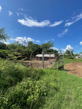 Third image of 38 Rhymesbury in Rhymesbury, Clarendon, Jamaica - property is For Sale