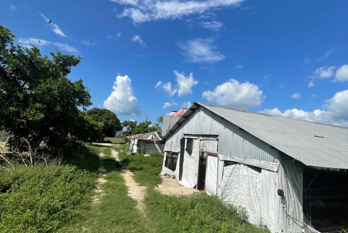 Fifth image of 38 Rhymesbury in Rhymesbury, Clarendon, Jamaica - property is For Sale