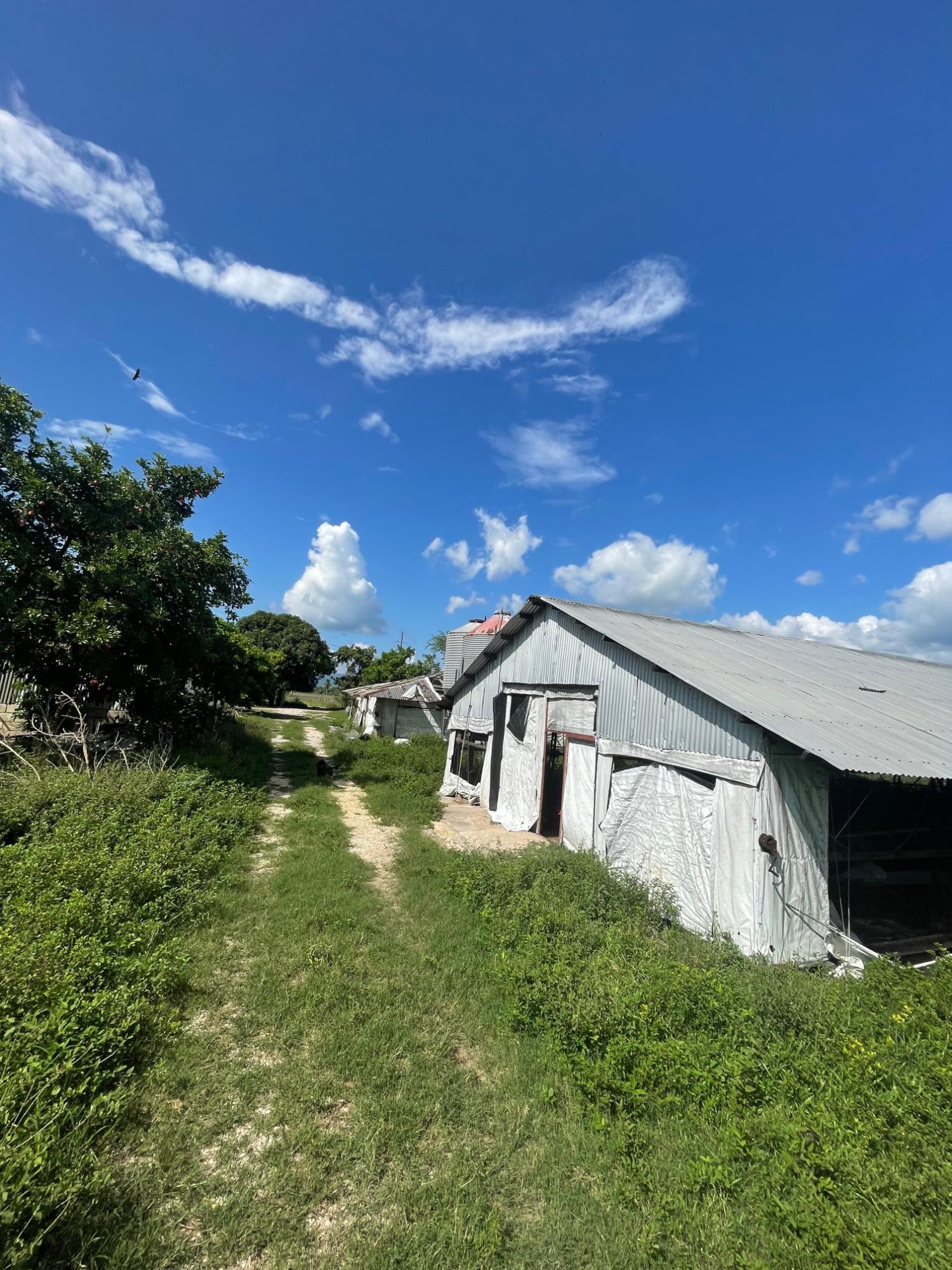 10-Acres-of-Prime-Agricultural-Land-for-Sale-in-Clarendon Fifth image of 38 Rhymesbury in Rhymesbury, Clarendon, Jamaica - property is For Sale