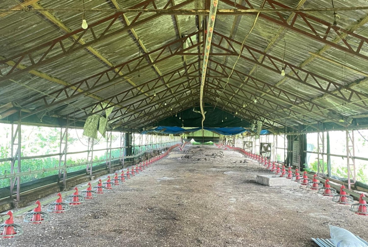 Sixth image of 38 Rhymesbury in Rhymesbury, Clarendon, Jamaica - property is For Sale