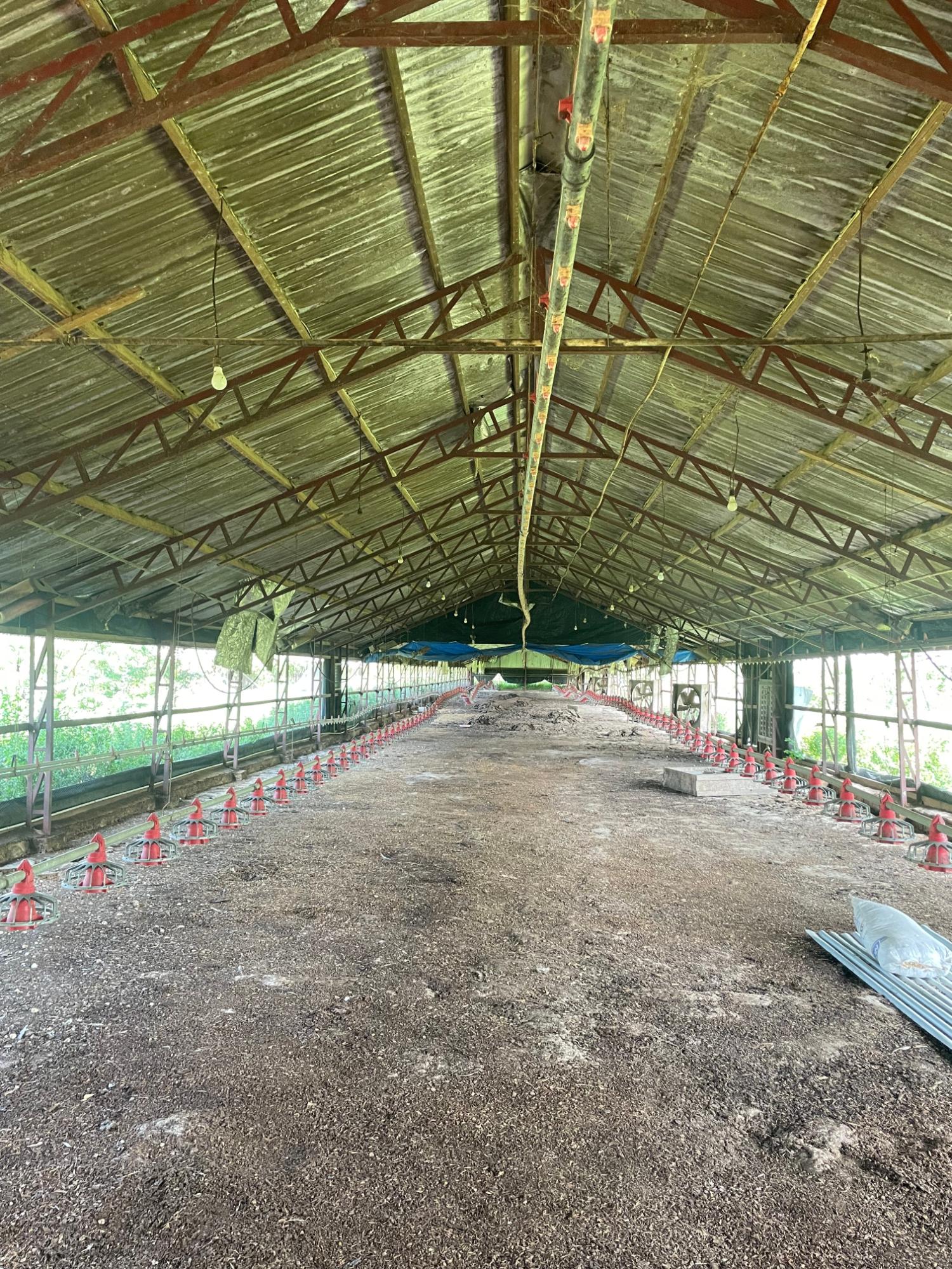 10-Acres-of-Prime-Agricultural-Land-for-Sale-in-Clarendon Sixth image of 38 Rhymesbury in Rhymesbury, Clarendon, Jamaica - property is For Sale