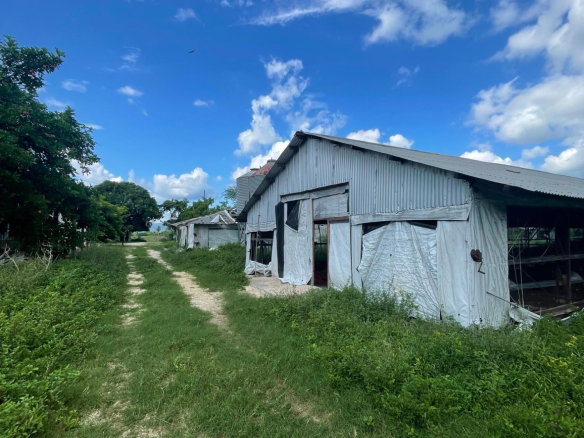 First image of 38 Rhymesbury in Rhymesbury, Clarendon, Jamaica - property is For Sale