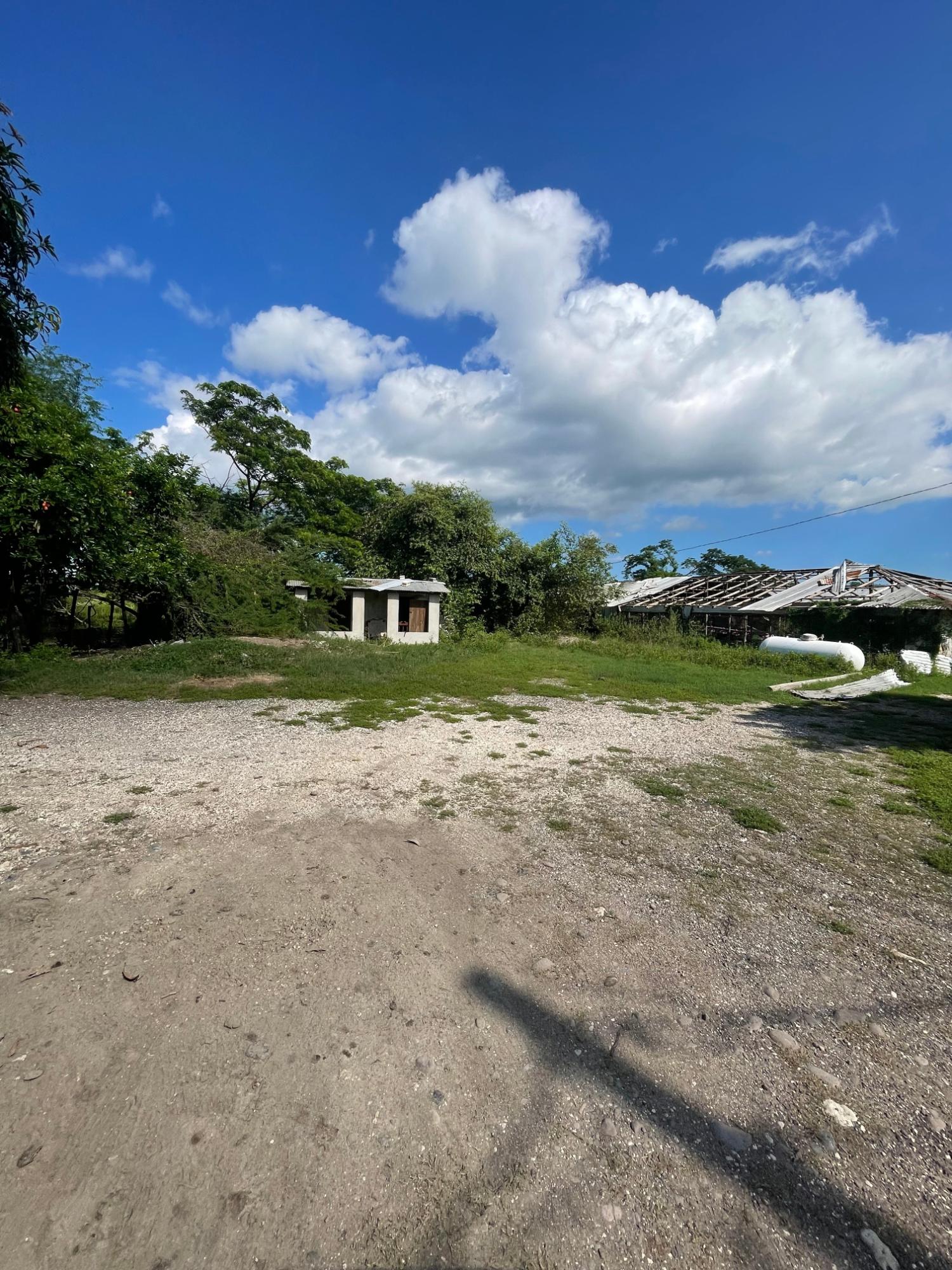 10-Acres-of-Prime-Agricultural-Land-for-Sale-in-Clarendon Seventh image of 38 Rhymesbury in Rhymesbury, Clarendon, Jamaica - property is For Sale