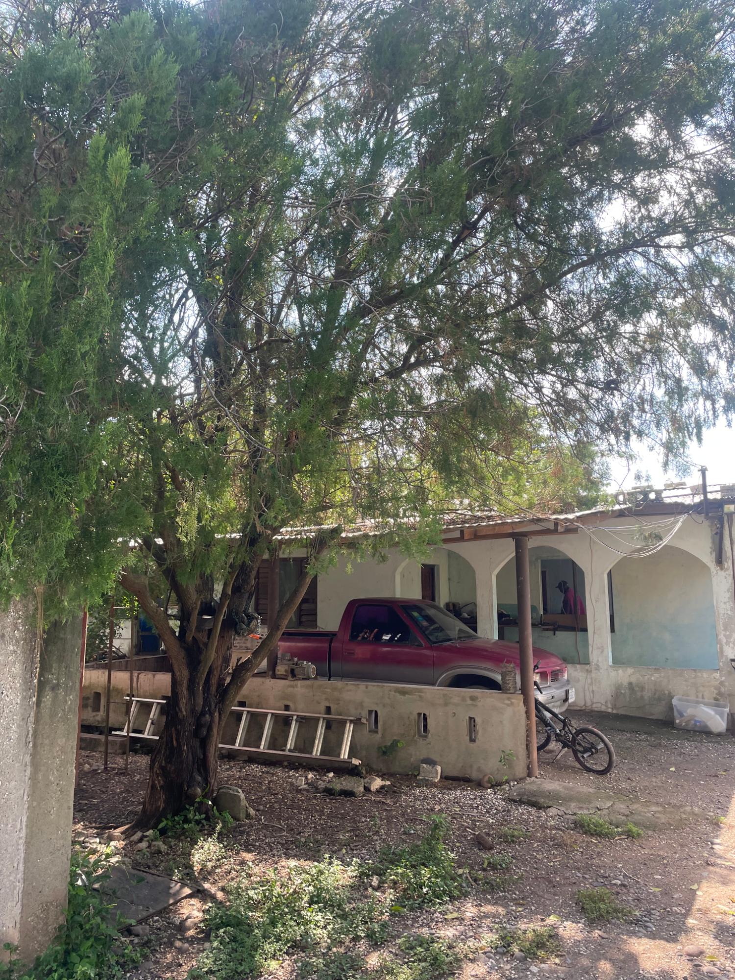 10-Acres-of-Prime-Agricultural-Land-for-Sale-in-Clarendon Eighth image of 38 Rhymesbury in Rhymesbury, Clarendon, Jamaica - property is For Sale