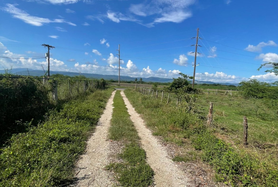 Ninth image of 38 Rhymesbury in Rhymesbury, Clarendon, Jamaica - property is For Sale